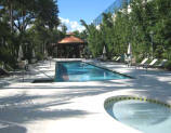 Grove Hill Tower Coconut Grove Pool